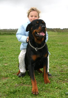 çocuk ve rottweiler