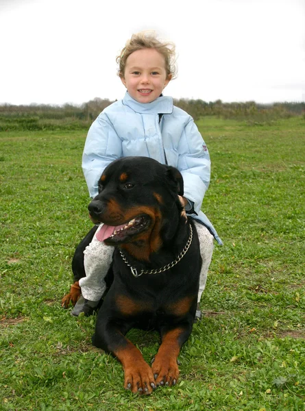 Little girl and rottweiler — Stock Photo, Image