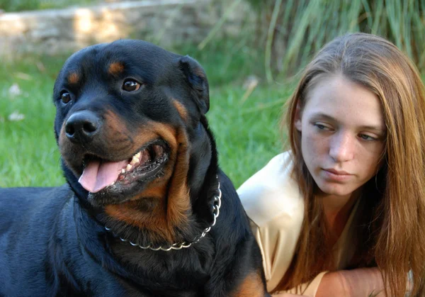 Meisje en gevaarlijke hond — Stockfoto