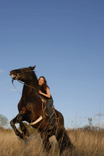 Rearing stallion and girl — Stock Photo, Image