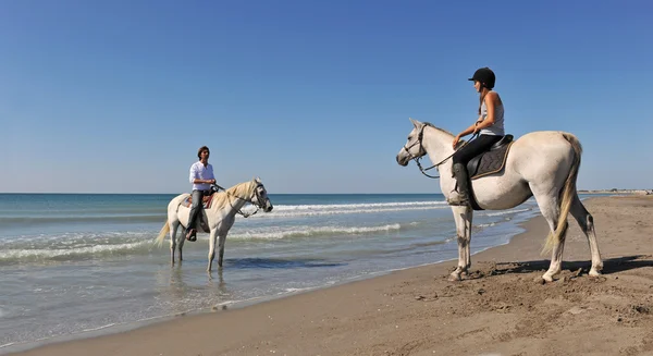 Paseos a caballo en vacaciones —  Fotos de Stock