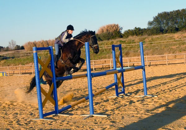 Прыгающая лошадь — стоковое фото