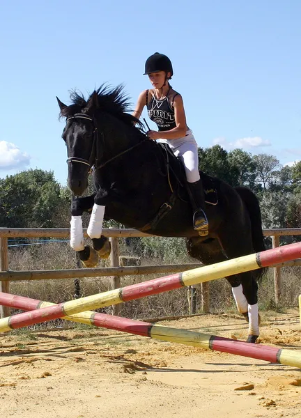 Jumping horse — Stock Photo, Image