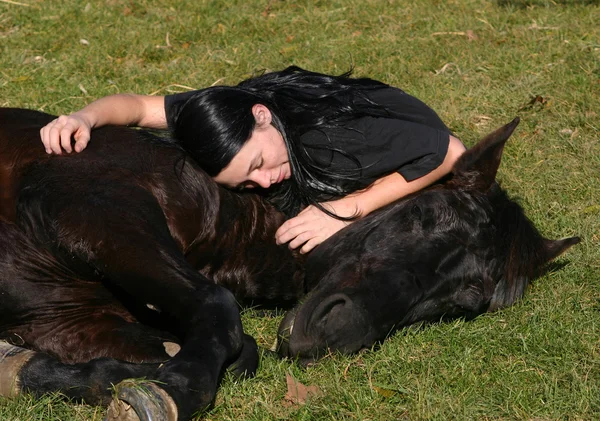 Horse lying down — Stock Photo, Image
