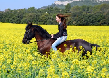 Horseback riding clipart