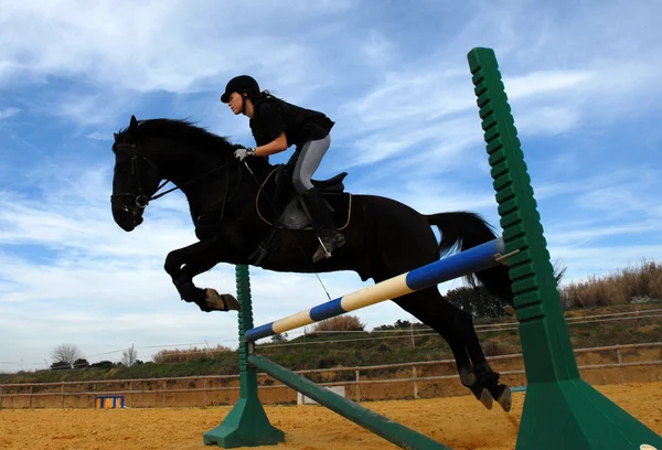 Jumping horse — Stock Photo, Image
