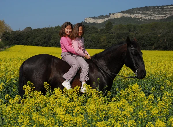 Gémeos e cavalos — Fotografia de Stock