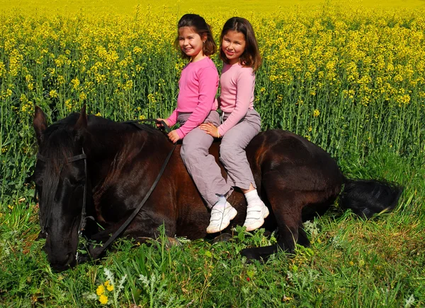 Zwillinge und Pferd — Stockfoto
