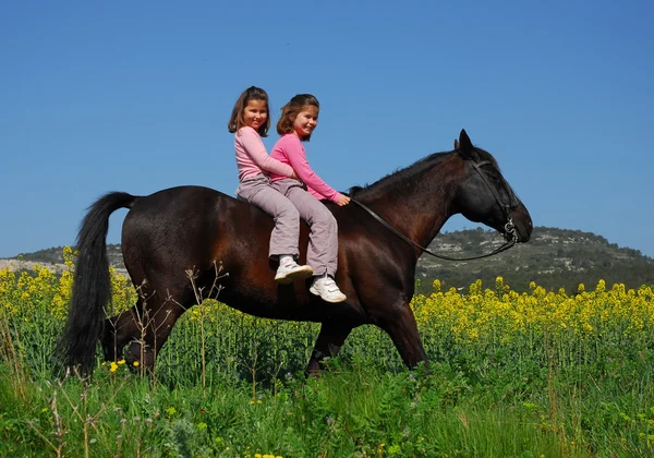 Gémeos e cavalos — Fotografia de Stock