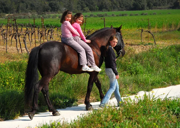 Dvojčata a koně — Stock fotografie