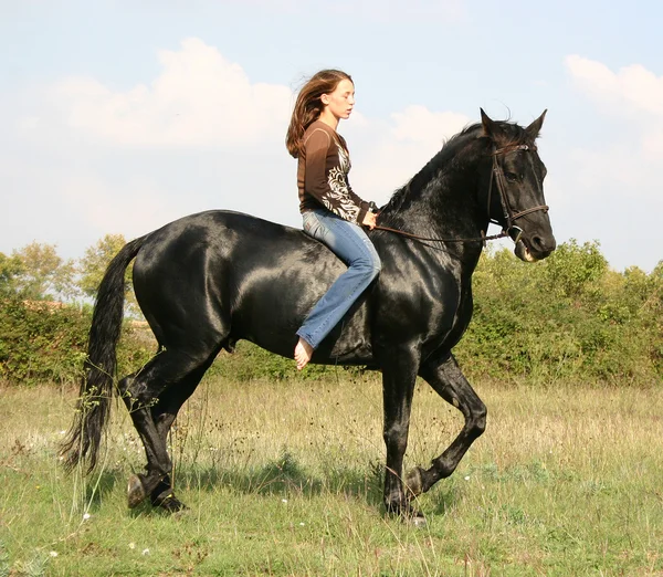 Dívka na koni — Stock fotografie