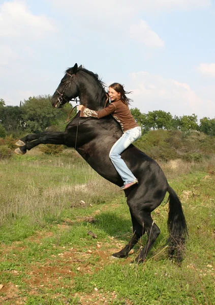 Cavalo de criação — Fotografia de Stock