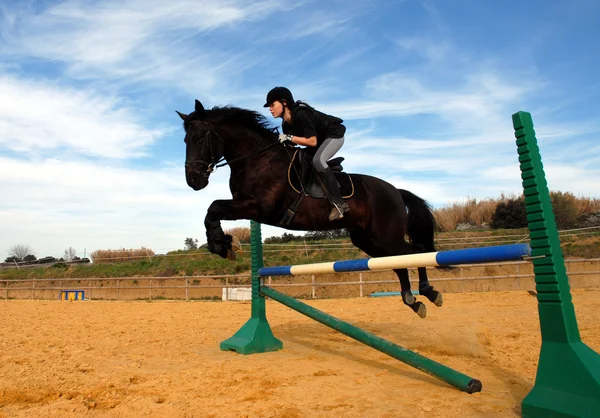 Hoppning häst Royaltyfria Stockfoton