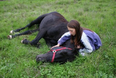 Horse lying down clipart