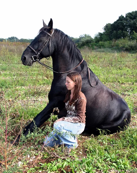Sitzendes Pferd — Stockfoto