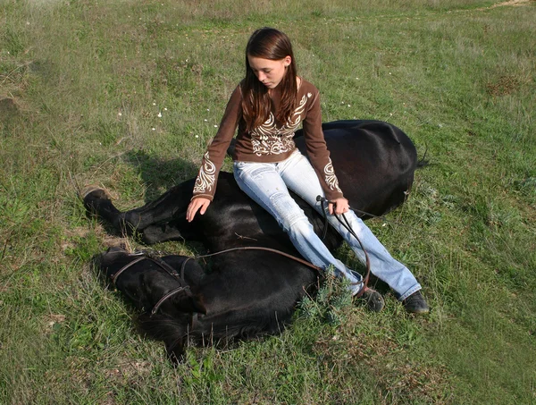 Pferd liegend — Stockfoto