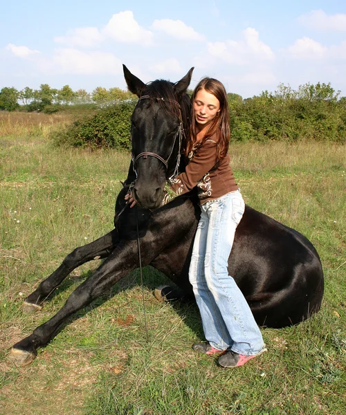 Sitting horse — Stock Photo, Image