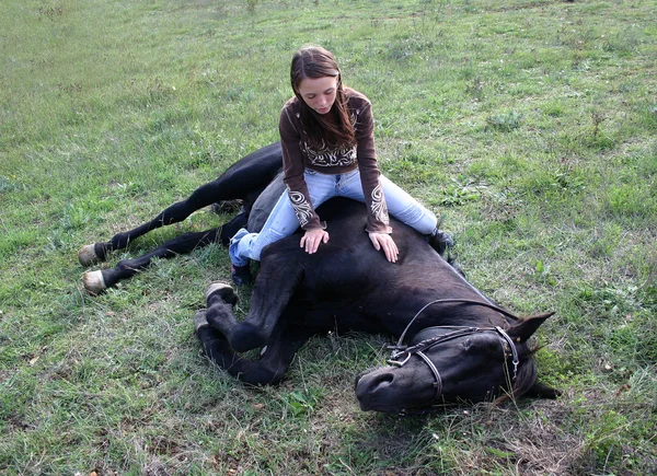 Cavallo sdraiato — Foto Stock