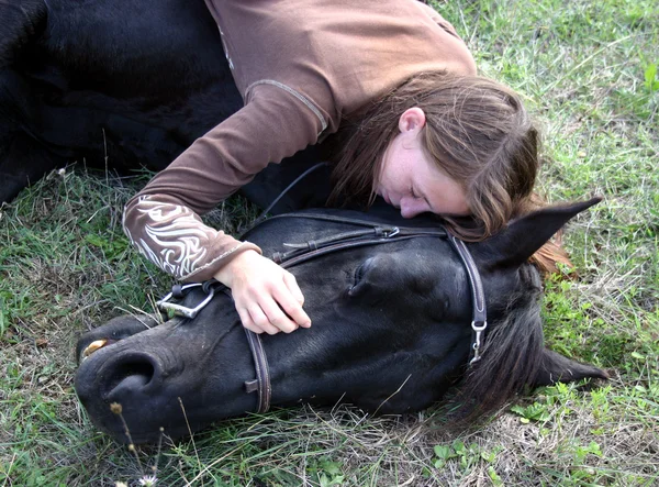 Cavalo deitado — Fotografia de Stock