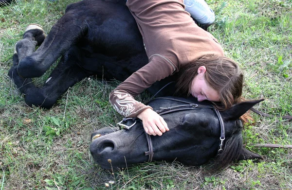 横たわっている馬 — ストック写真