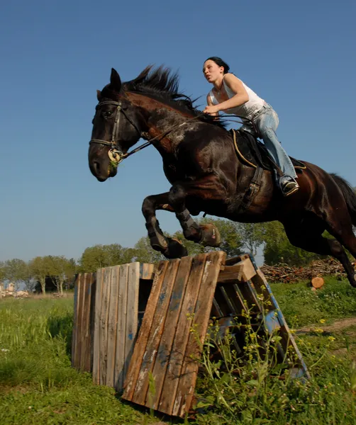 Стрибки коня — стокове фото