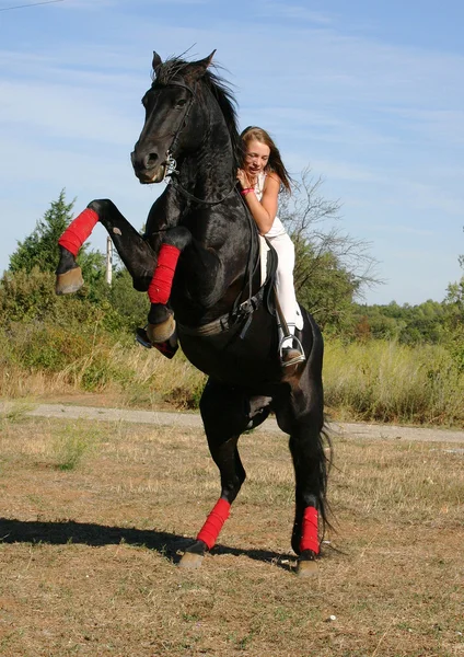 Rearing horse — Stock Photo, Image