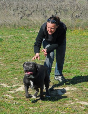 Cane corso and woman clipart