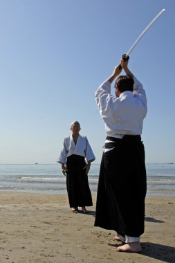 Training of Aikido on the beach clipart