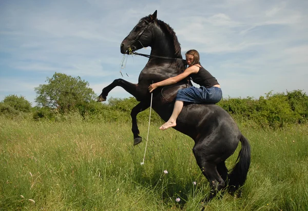 馬の飼育 — ストック写真