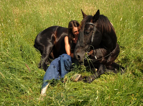 Häst liggande — Stockfoto