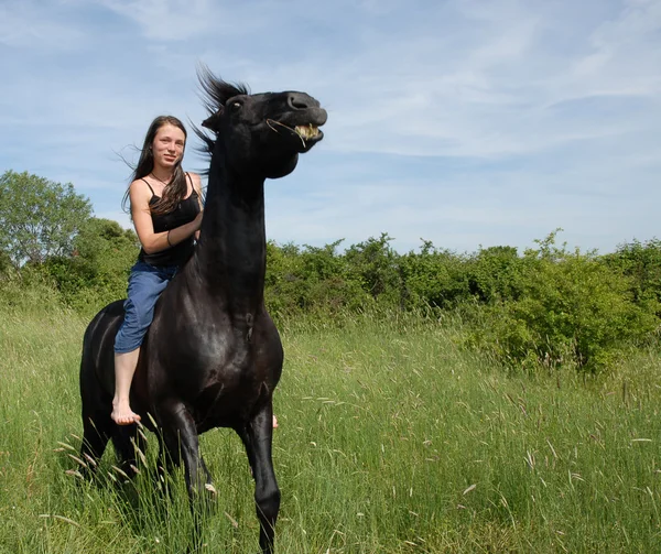 ขี่ม้ากลับ — ภาพถ่ายสต็อก