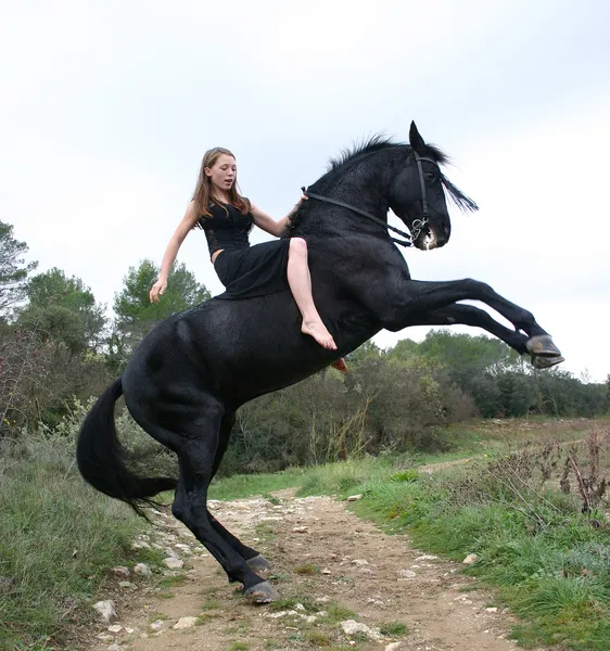 Rearing horse — Stock Photo, Image