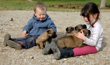 çocuk ve köpek yavruları