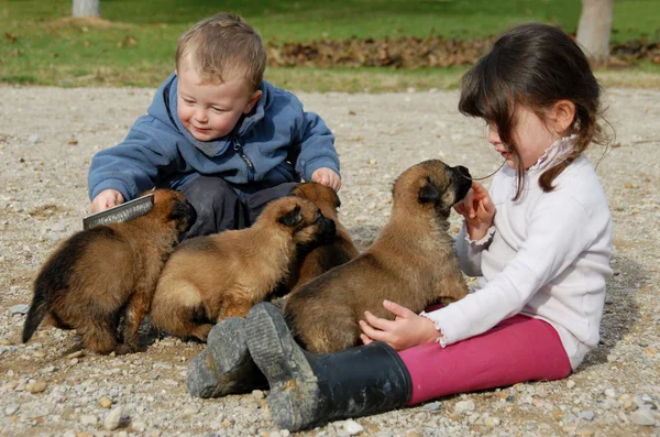 Bambini e cuccioli — Foto Stock