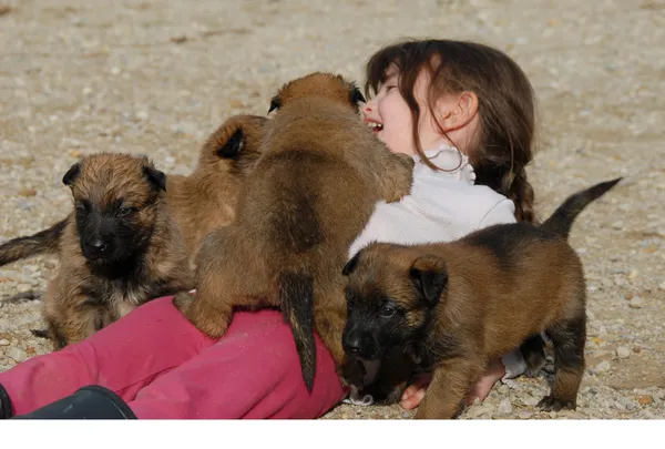 Girl and little puppies — Stock Photo, Image