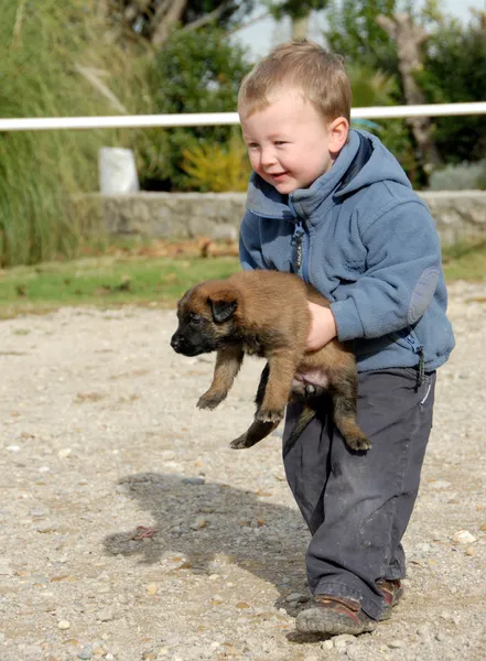 Malý chlapec a štěně — Stock fotografie
