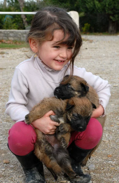 Smiling girl and puppies — Stock Photo, Image