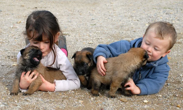 Children and puppies — Stock Photo, Image