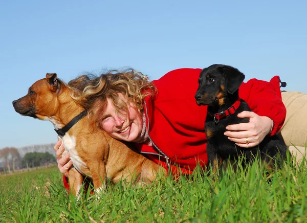 女性と 2 匹の犬 — ストック写真