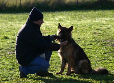 Alman çoban köpeği ve insan