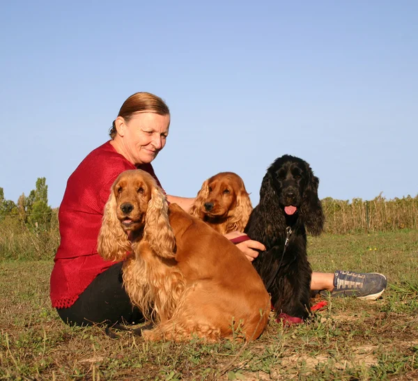 Cockers spaniels and senior woman Stock Image