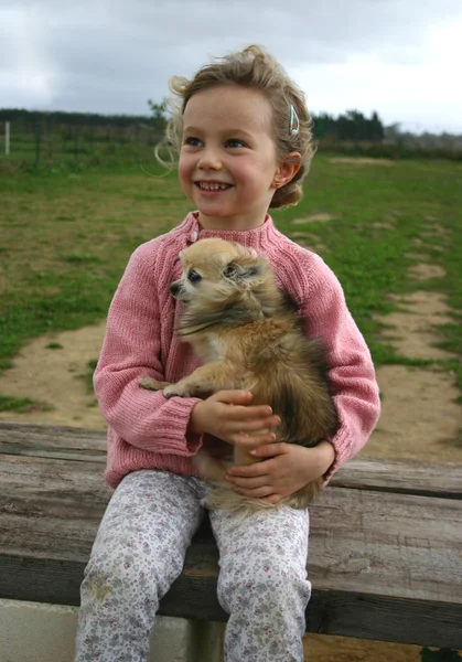 Chihuahua and child — Stock Photo, Image
