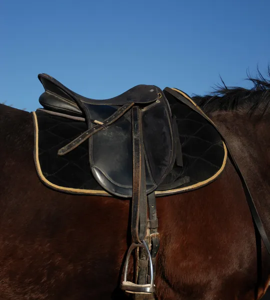 Saddle — Stock Photo, Image