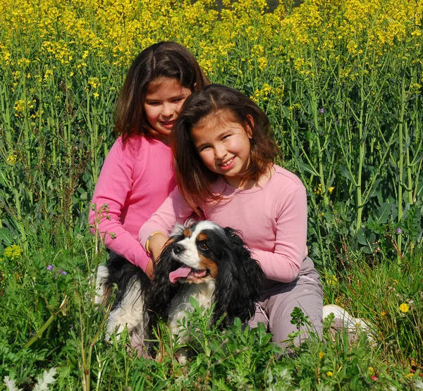 Pequeño perro y gemelos — Foto de Stock