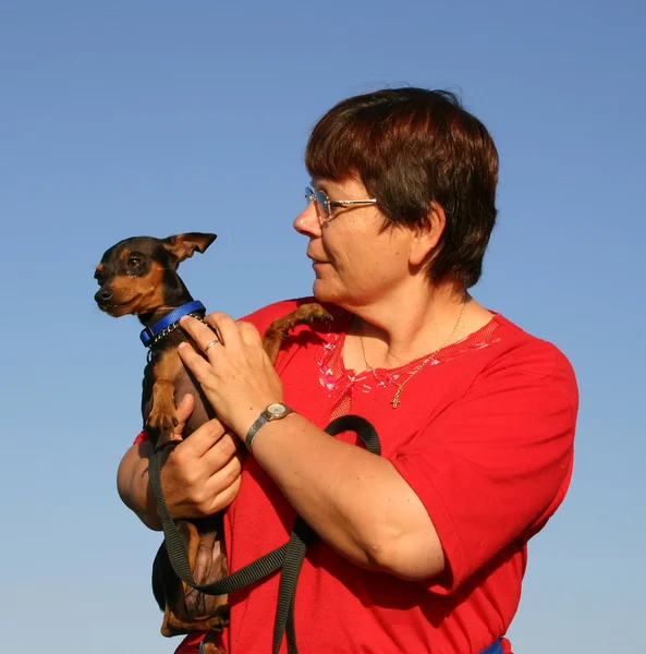 Miniature pinscher and woman — Stock Photo, Image