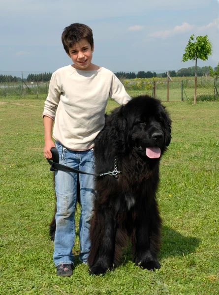 Terranova perro y niño — Foto de Stock