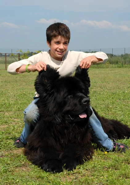 Terranova cane e bambino — Foto Stock