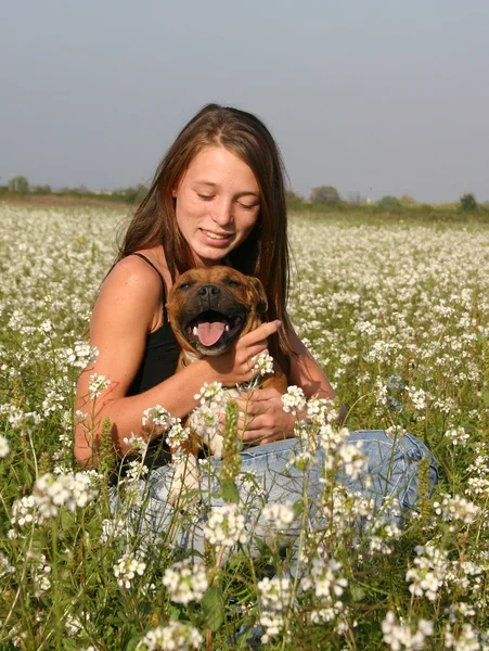 Staffie and girl — Stock Photo, Image