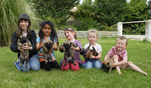 Children and puppies