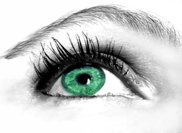 Occhio verde — Foto Stock